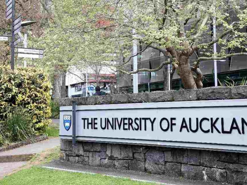 Discovering the University of Auckland: A Journey of Excellence and Innovation